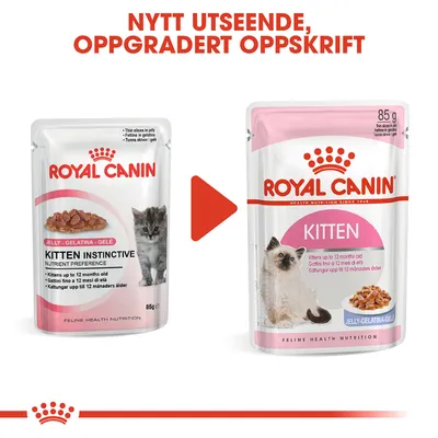 Royal Canin Kitten i gelé