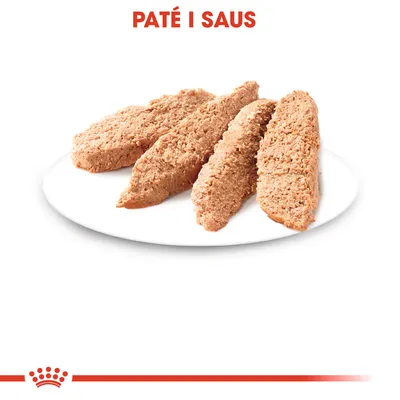 Royal Canin Kitten mousse
