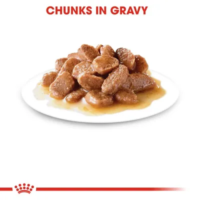 Tálon szószban lévő húskockák. Felül angol szöveg: CHUNKS IN GRAVY.