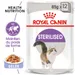 Royal Canin Sterilised en gelée pour chat