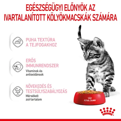 Egészségügyi előnyök az ivartalanított kölyökmacskák számára: puha textúra a tejfogakhoz, erős immunrendszer vitaminokkal és antioxidánsokkal, növekedés és testsúlyszabályozás mérsékelt zsírtartalommal.