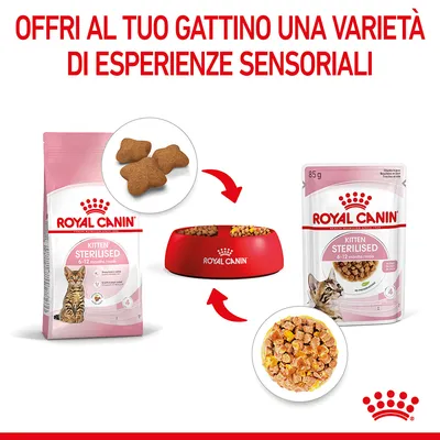 ROYAL CANIN Kitten Sterilised 6-12 months: confezione di crocchette, ciotola rossa con cibo, bustina da 85 g di umido e testo 'Offri al tuo gattino una varietà di esperienze sensoriali'.