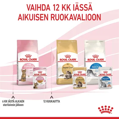 Vaihda 12 kk iässä aikuisen ruokavalioon. Royal Canin Kitten Sterilised, Maine Coon Adult ja Home Life Indoor -kissanruoat. 6 kk iästä alkaen steriloinnin jälkeen, 12 kuukautta.