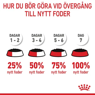 Utfodringsschema vid byte till nytt foder: dagar 1–2, 25 % nytt foder; dagar 3–4, 50 %; dagar 5–6, 75 %; dag 7, 100 % nytt foder. Royal Canin-logotyp synlig.