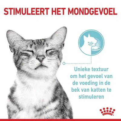 Stimuleert het mondgevoel. Unieke textuur om het gevoel van de voeding in de bek van katten te stimuleren.