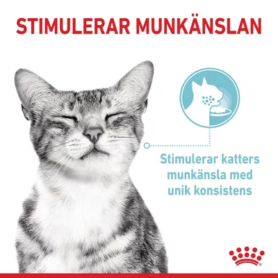 Text: STIMULERAR MUNKÄNSLAN. Stimulerar katters munkänsla med unik konsistens. Bild på katt och ikon som illustrerar ätande katt.