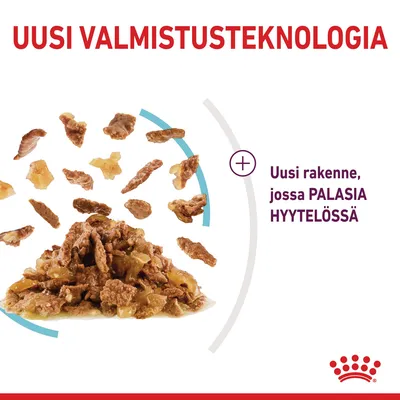 UUSI VALMISTUSTEKNOLGIA. Uusi rakenne, jossa PALASIA HYYTELÖSSÄ. Kuvassa hyytelöruoan paloja ja kasa märkäruokaa.