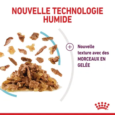 Nouvelle technologie humide. Nouvelle texture avec des morceaux en gelée. Morceaux de nourriture présentés sur fond blanc, logo Royal Canin visible.
