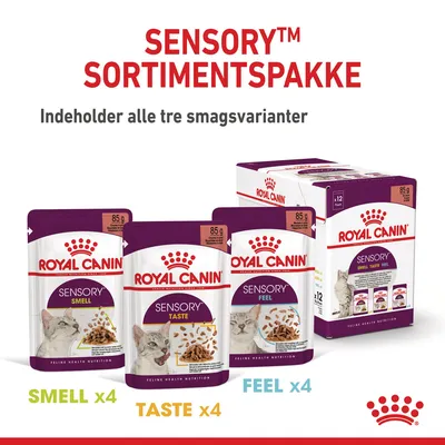 Royal Canin Sensory sortimentspakke med 12 poser á 85 g: 4 Smell, 4 Taste, 4 Feel. Indeholder alle tre smagsvarianter. Pakker og æske med kattebillede synlige.