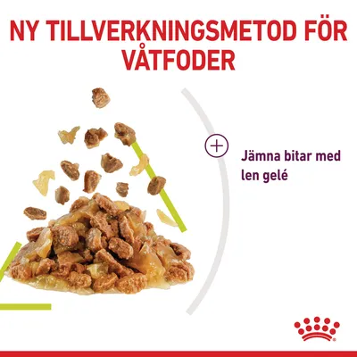 Ny tillverkningsmetod för våtfoder. Jämna bitar med len gelé visas tillsammans med foderbitar och gelé på bilden. Royal Canin-varumärket synligt längst ner.