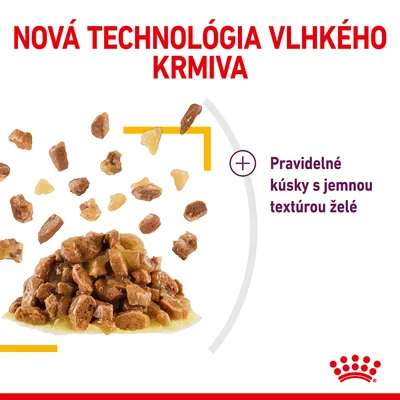 Nová technológia vlhkého krmiva. Pravidelné kúsky s jemnou textúrou želé. Zobrazené kúsky krmiva v želé.