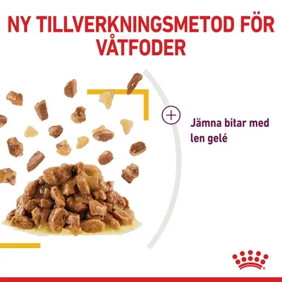 Ny tillverkningsmetod för våtfoder. Jämna bitar med len gelé visas tillsammans med en hög av våtfoderbitar i gelé. Royal Canin-logotyp synlig längst ner.