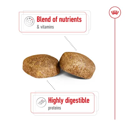 Blend of nutrients & vitamins, Highly digestible proteins (κείμενο στα αγγλικά) με δύο κροκέτες τροφής στο κέντρο της εικόνας.