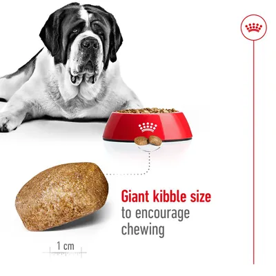 Image shows giant kibble size with a 1 cm scale and text stating 'Giant kibble size to encourage chewing', alongside a food bowl and a large dog.