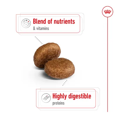 Blend of nutrients & vitamins, Highly digestible proteins. Tekst na engleskom jeziku uz dvije smeđe okrugle granule hrane.
