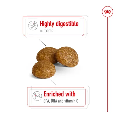 Τρεις κροκέτες. Κείμενο στα αγγλικά: Highly digestible nutrients. Enriched with EPA, DHA and vitamin C.