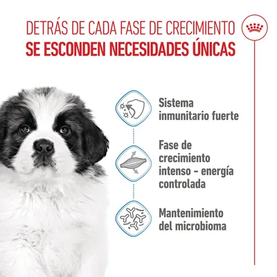 Royal Canin Giant Puppy