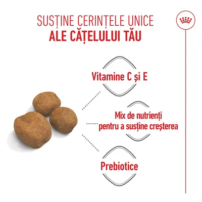 Crochete de hrană uscată cu indicații: vitaminele C și E, mix de nutrienți pentru susținerea creșterii, prebiotice. Crochete de hrană uscată cu indicații: vitaminele C și E, mix de nutrienți pentru susținerea creșterii, prebiotice.