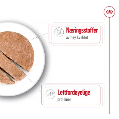 Royal Canin Maxi Adult Mousse