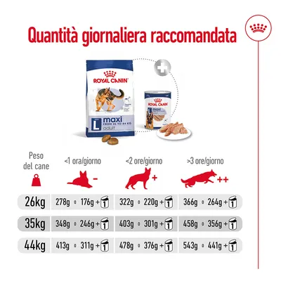 Tabella quantità giornaliera raccomandata Royal Canin Maxi adult per cani da 26 kg, 35 kg e 44 kg, suddivisa per livello di attività e combinazione crocchette/umido.