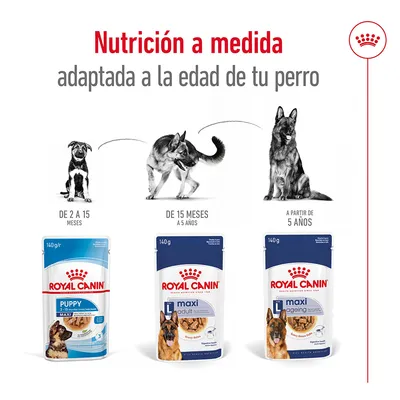 Royal Canin Puppy de 2 a 15 meses, Maxi Adult de 15 meses a 5 años y Maxi Ageing a partir de 5 años. Nutrición adaptada a la edad del perro. Tres envases visibles de 140 g.