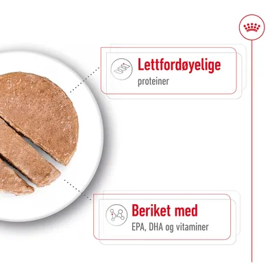 Royal Canin Maxi Ageing Mousse