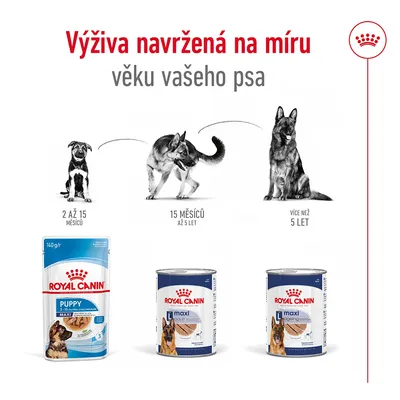 Royal Canin: Výživa navržená na míru věku psa. Produkty Puppy 2–15 měsíců, Maxi Adult 15 měsíců až 5 let, Maxi Ageing více než 5 let. Ilustrace psů v různém věku.