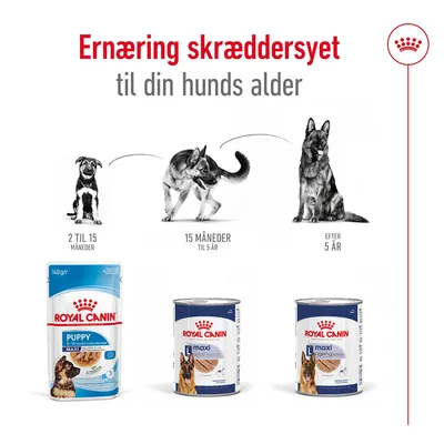 Royal Canin hundefoder til forskellige aldre: Puppy 2–15 måneder, Maxi Adult 15 måneder–5 år, Maxi Ageing efter 5 år. Tekst: Ernæring skræddersyet til din hunds alder.