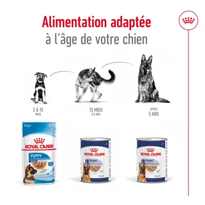Alimentation adaptée à l’âge de votre chien : Royal Canin Puppy 2–15 mois, Maxi Adult 15 mois–5 ans, Maxi Ageing après 5 ans. Trois produits visibles avec chiens illustrés.