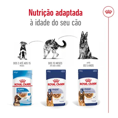 Royal Canin Puppy dos 2 até aos 15 meses, Maxi Adult dos 15 meses até aos 5 anos, Maxi Ageing após os 5 anos. Nutrição adaptada à idade do seu cão. Embalagens visíveis.