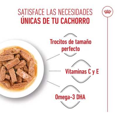 Royal Canin Maxi Puppy en salsa