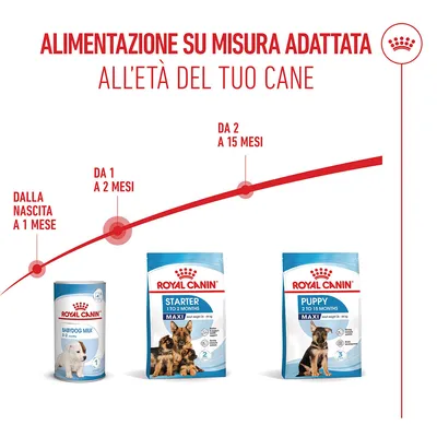 Royal Canin Maxi Starter Mother & Babydog Crocchette per cane
