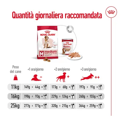 Tabella Royal Canin Medium Adult 7+ con quantità giornaliera raccomandata per cani da 11, 16 e 25 kg in base all’attività: crocchette e umido in grammi per tre livelli di esercizio.