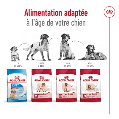 Royal Canin Puppy 2–12 mois, Medium Adult 12 mois–7 ans, Medium Adult 7+ 7–10 ans, Medium Ageing 10+ après 10 ans. Alimentation adaptée à l’âge du chien.