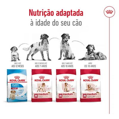 Nutrição adaptada à idade do cão. Royal Canin Puppy 2–12 meses, Medium Adult até 7 anos, Medium Adult 7+ até 10 anos, Medium Ageing 10+ após 10 anos. Imagem de cães em diferentes idades.