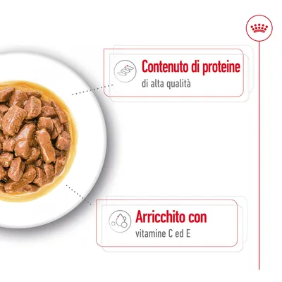Ciotola con bocconcini in salsa. Testo visibile: Contenuto di proteine di alta qualità. Arricchito con vitamine C ed E.