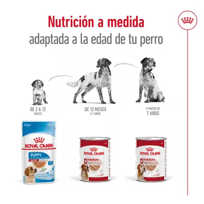 Nutrición a medida adaptada a la edad del perro: Royal Canin Puppy de 2 a 12 meses, Medium Adult de 12 meses a 7 años, Medium Ageing a partir de 7 años. Tres envases visibles.
