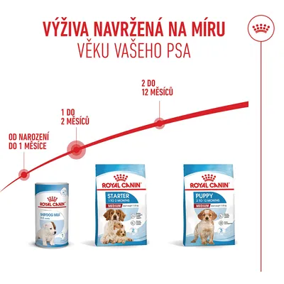 Royal Canin Babydog Milk pro 0–1 měsíc, Starter Medium pro 1–2 měsíce, Puppy Medium pro 2–12 měsíců. Doporučení pro výživu podle životní fáze. Royal Canin Babydog Milk pro 0–1 měsíc, Starter Medium pro 1–2 měsíce, Puppy Medium pro 2–12 měsíců. Doporučení pro výživu podle životní fáze.
