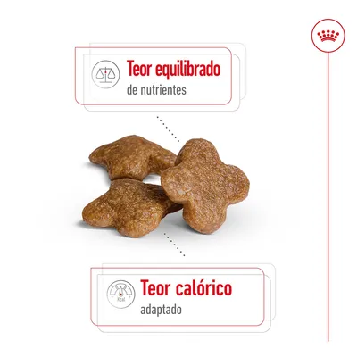 Três croquetes em forma de cruz com texto: 'Teor equilibrado de nutrientes' e 'Teor calórico adaptado'.