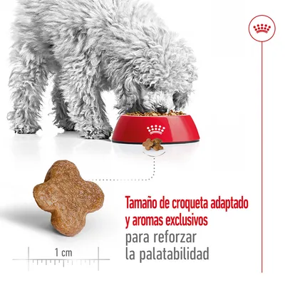 Perro comiendo pienso de un cuenco rojo con croqueta en primer plano, tamaño 1 cm. Texto: Tamaño de croqueta adaptado y aromas exclusivos para reforzar la palatabilidad.