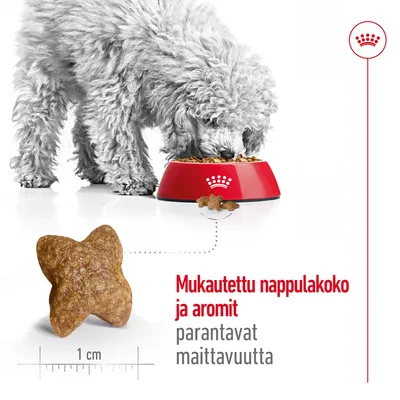 Koira syö Royal Canin -ruokaa punaisesta kupista, esillä nappulan muoto ja koko (1 cm). Teksti: Mukautettu nappulakoko ja aromit parantavat maittavuutta.