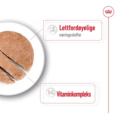 Royal Canin Mini Adult Mousse