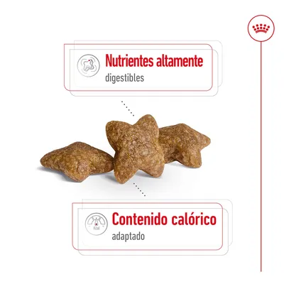 Croquetas en forma de estrella con texto: Nutrientes altamente digestibles y contenido calórico adaptado.
