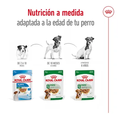 Royal Canin Puppy de 2 a 10 meses, Mini Adult de 10 meses a 8 años y Mini Ageing a partir de 8 años. Nutrición adaptada a la edad del perro. Paquetes de 85 g visibles.