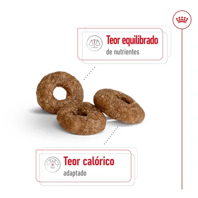 Três croquetes redondos com texto: 'Teor equilibrado de nutrientes' e 'Teor calórico adaptado'.