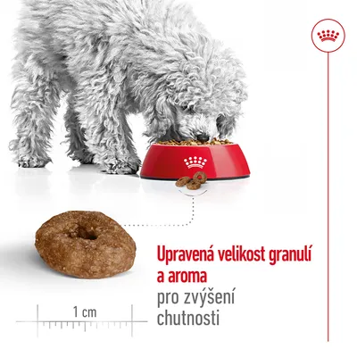 Pes u misky s granulemi, detail granule o průměru 1 cm. Text: Upravená velikost granulí a aroma pro zvýšení chutnosti.