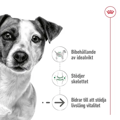 Tre ikoner med text: Bibehållande av idealvikt, Stödjer skelettet, Bidrar till att stödja livslång vitalitet. Royal Canin-symbol uppe till höger.