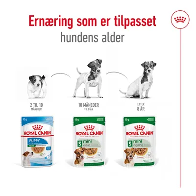 Royal Canin Mini Ageing   i saus