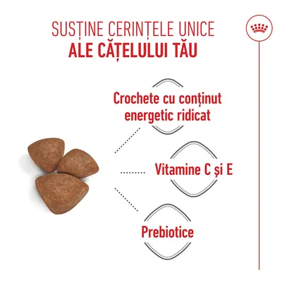 Trei crochete, Text: Crochete cu conținut energetic ridicat, vitaminele C și E, prebiotice. Trei crochete, Text: Crochete cu conținut energetic ridicat, vitaminele C și E, prebiotice.