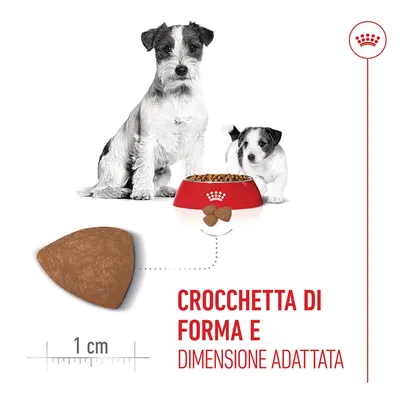Royal Canin Mini Starter Mother & Babydog Crocchette per cane